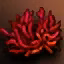 Coral rojo