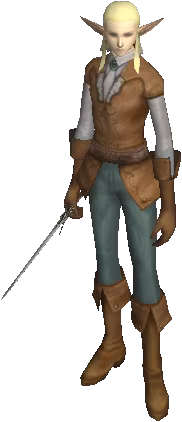 Adventure Guildsman