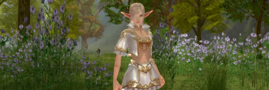 elf, majestic armor